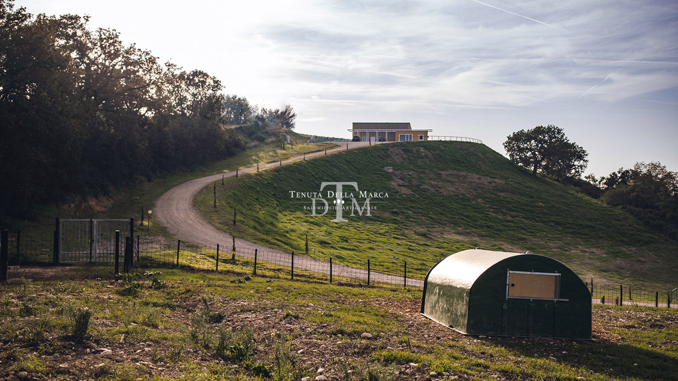 Tenuta della Marca
